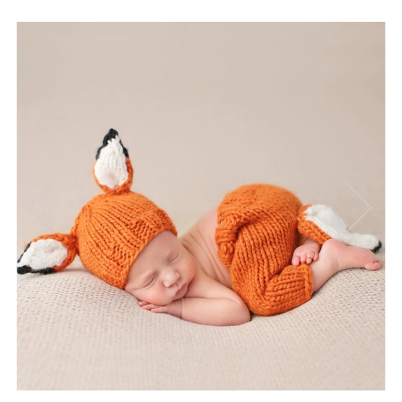 The Blueberry Hill Other - Fox newborn photo prop